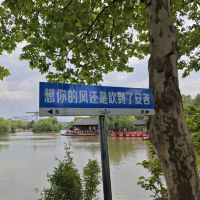 評論圖片 8