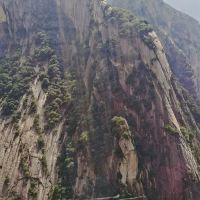 評論圖片 9