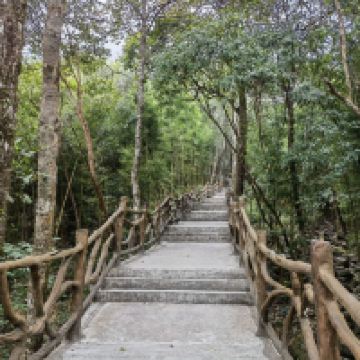 評論圖片 8