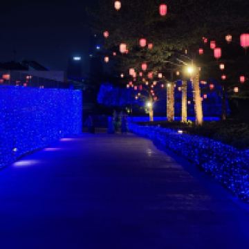評論圖片 1