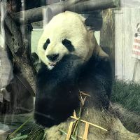 評論圖片 5