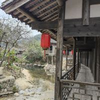評論圖片 2