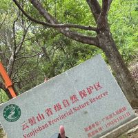 評論圖片 1