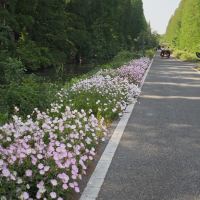 評論圖片 1