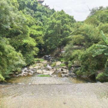 評論圖片 7