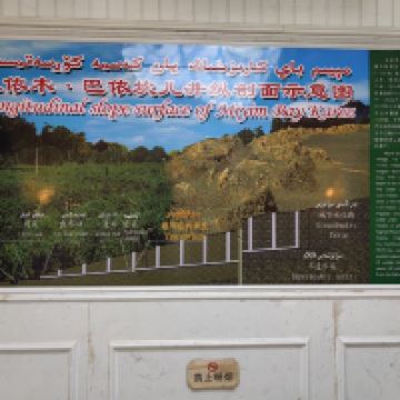 評論圖片 5