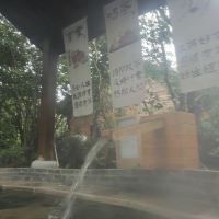 評論圖片 2