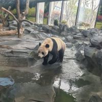 評論圖片 3