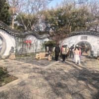 評論圖片 5