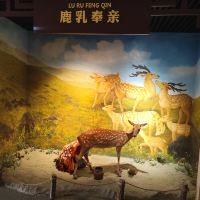 評論圖片 3