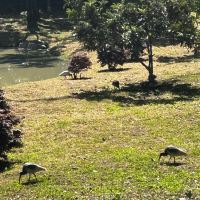 評論圖片 3