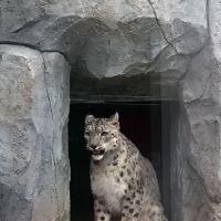 評論圖片 3