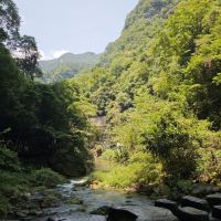 評論圖片 3