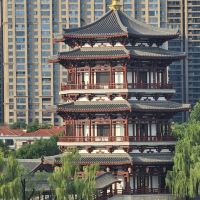 評論圖片 2
