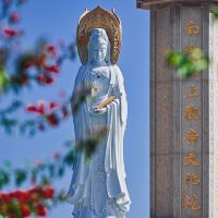 評論圖片 5