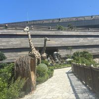 評論圖片 3