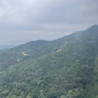 評論圖片 2