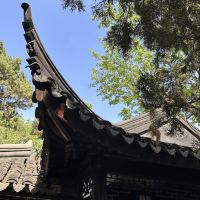 評論圖片 4