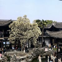 評論圖片 1