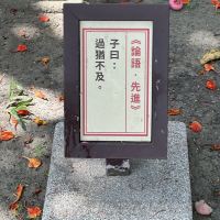 評論圖片 4