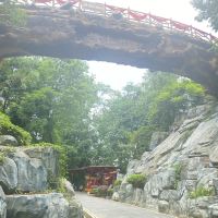 評論圖片 5
