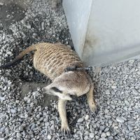評論圖片 2