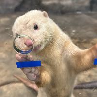 評論圖片 3