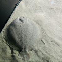 評論圖片 6