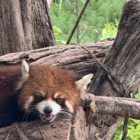 評論圖片 2