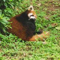 評論圖片 5