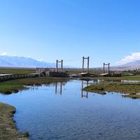 評論圖片 6