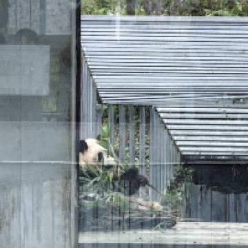 評論圖片 4