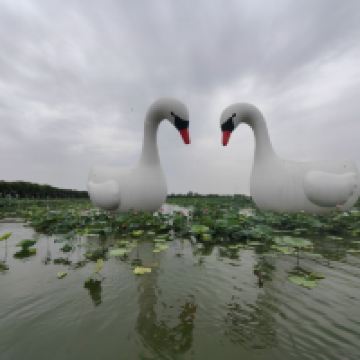 評論圖片 2