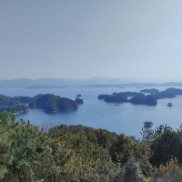 評論圖片 3
