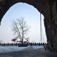 評論圖片 7