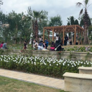 評論圖片 1