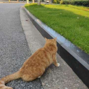 評論圖片 9