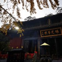 評論圖片 9