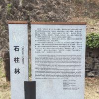 評論圖片 7