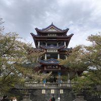 評論圖片 5