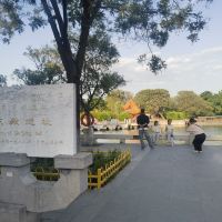 評論圖片 5