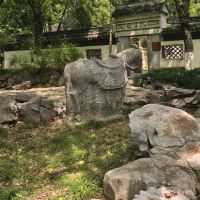 評論圖片 9