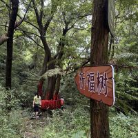 評論圖片 8
