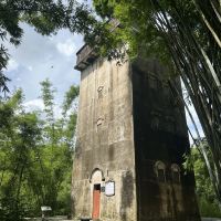 評論圖片 9