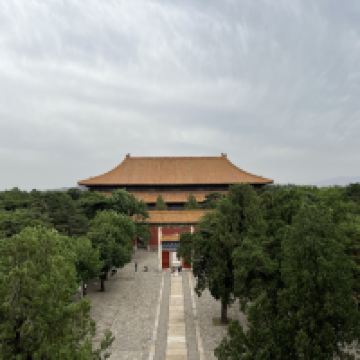 評論圖片 8
