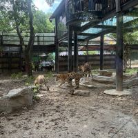 評論圖片 3