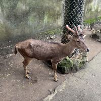 評論圖片 7