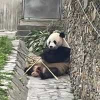 評論圖片 3