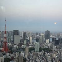 評論圖片 5