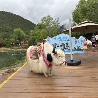 評論圖片 7